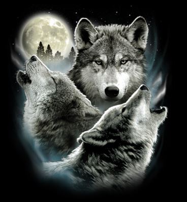 Three Wolves Howling at Moon Long Sleeve T-Shirt Native American Indian Outdoors