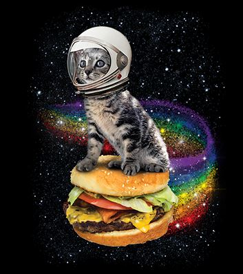 Astronaut Cat Flying a Rainbow Cheeseburger Hoodie Sweatshirt Space Kitten