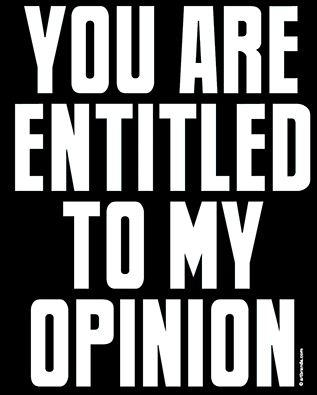 You Are Entitled To My Opinion Funny Sarcastic Hoodie / Sweatshirt