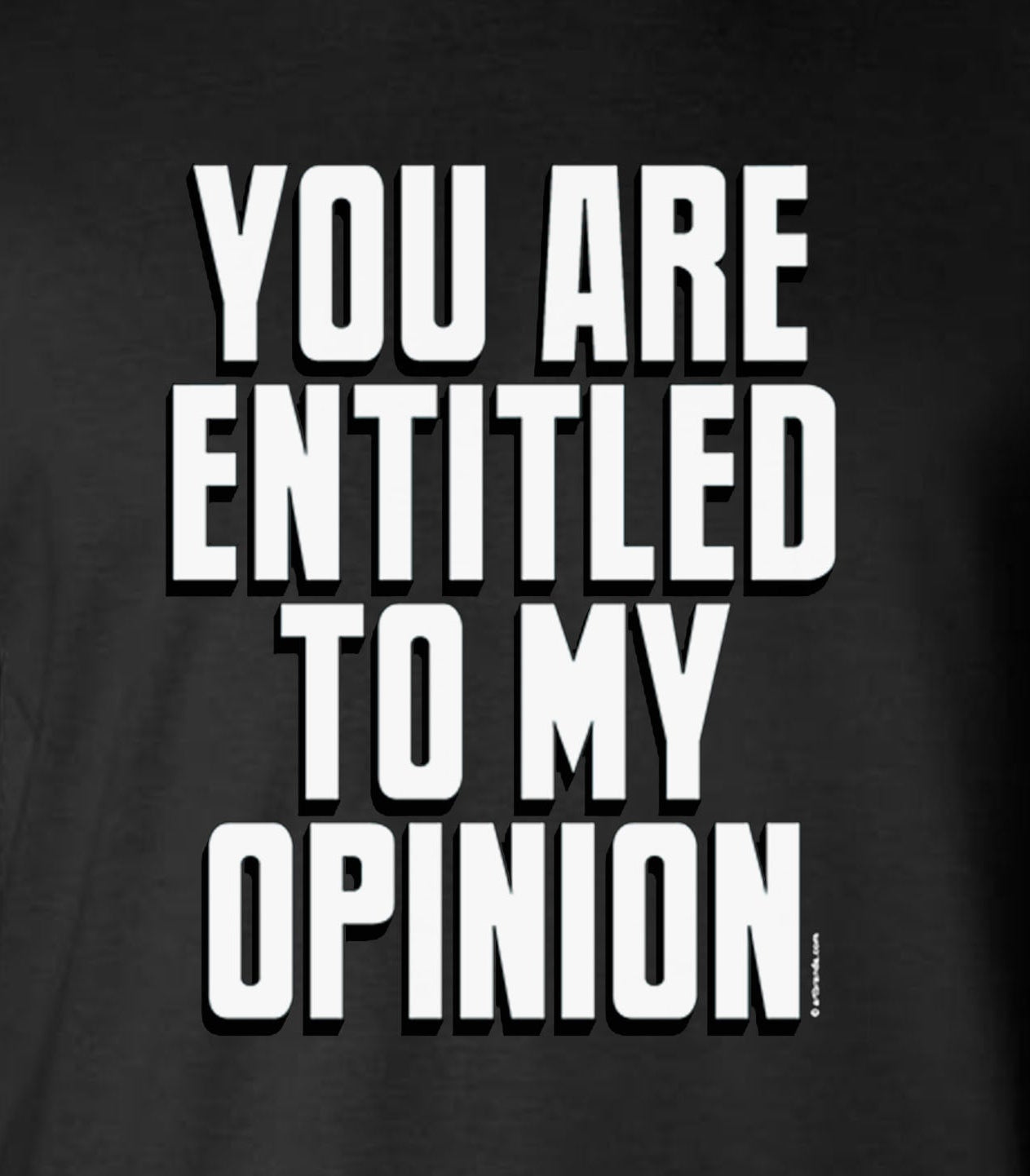 You Are Entitled To My Opinion Funny Sarcastic Long Sleeve T-Shirt