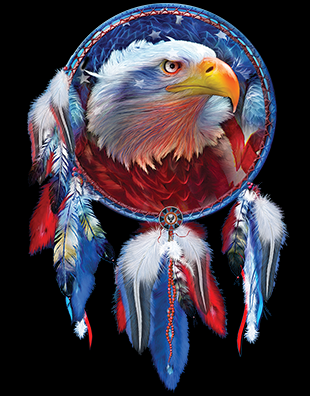 American Flag Eagle Indian Dreamcatcher Long Sleeve T-Shirt Native American
