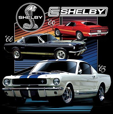 Various Shelby Cars Ford Mustang 2-Sided Long Sleeve T-Shirt
