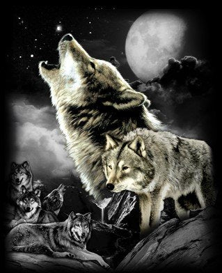 Wolf Wilderness Moon Long Sleeve T-Shirt Native American Indian