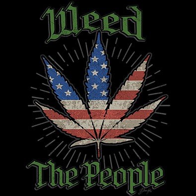Weed The People American Flag Pot Leaf Long Sleeve T-Shirt