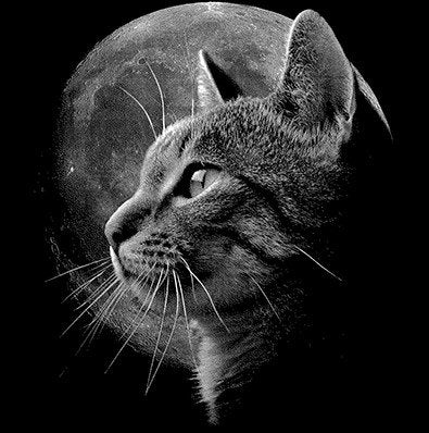 Cat in the Moon Silhouette Pet Animal Long Sleeve T-Shirt