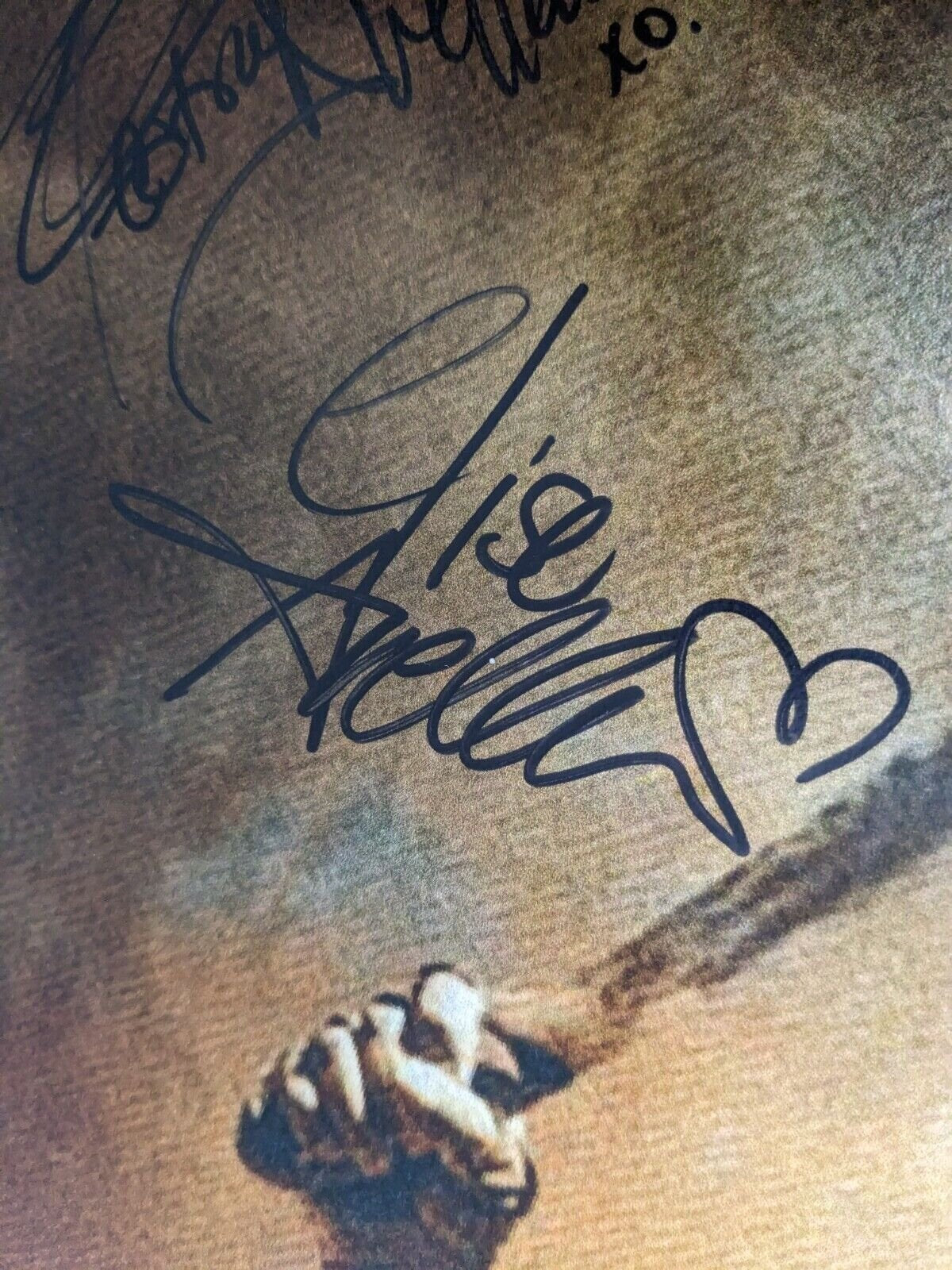 Danny Trejo Signed 27x40 Machete Poster Electra & Elise Avellan Autographed