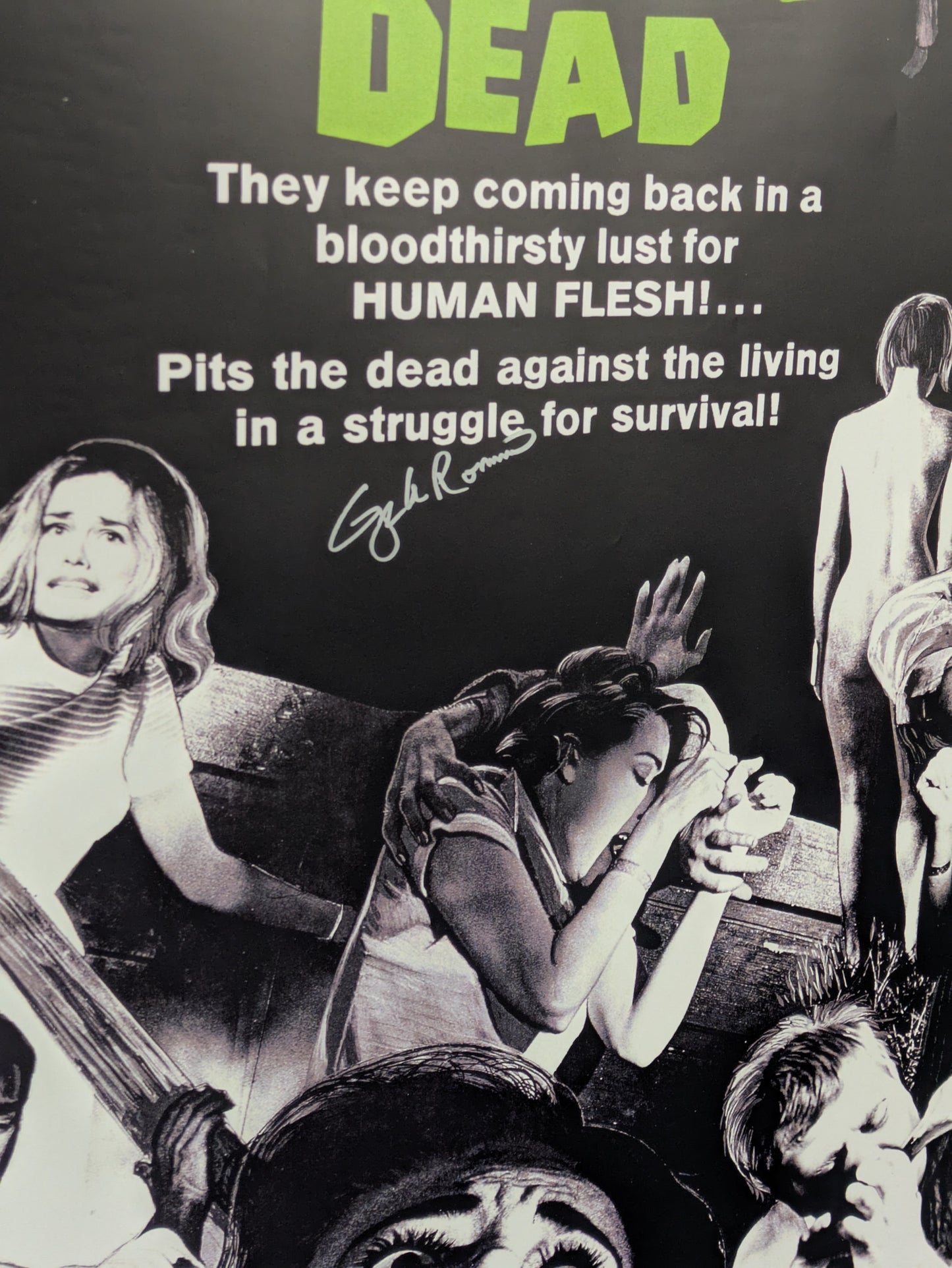 George A Romero Signed / Autographed Night Of The Living Dead 27x40 Poster COA