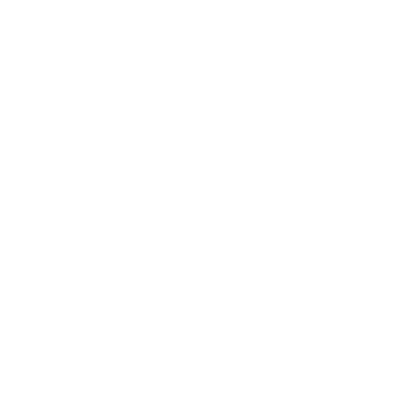 Shelby Cobra Double Sided Hoodie / Official Licensed Product Ford Mustang GT500
