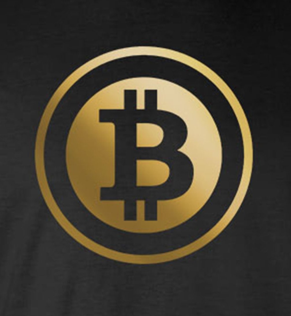 Gold Bitcoin Logo T-Shirt - Graphic Crypto Currency BTC Ethereum Litecoin Dogecoin