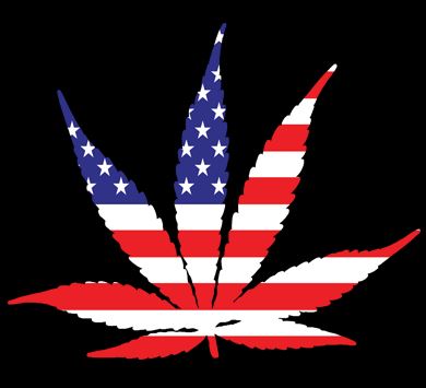 American Flag Pot Leaf USA T-Shirt Marijuana Cannabis 420