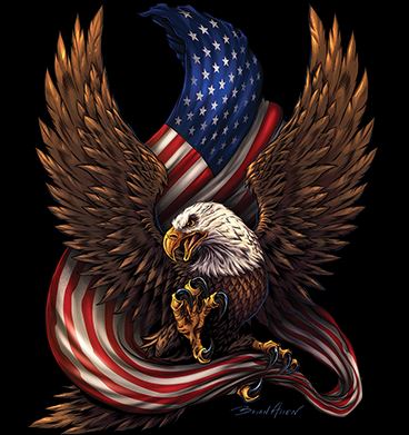 American Flag / Eagle 1776 2-Sided Long Sleeve T-Shirt