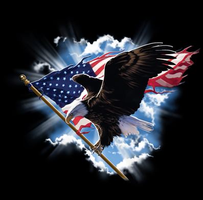 Patriotic Flying Eagle Hoodie Sweatshirt - USA American Flag 4th of July