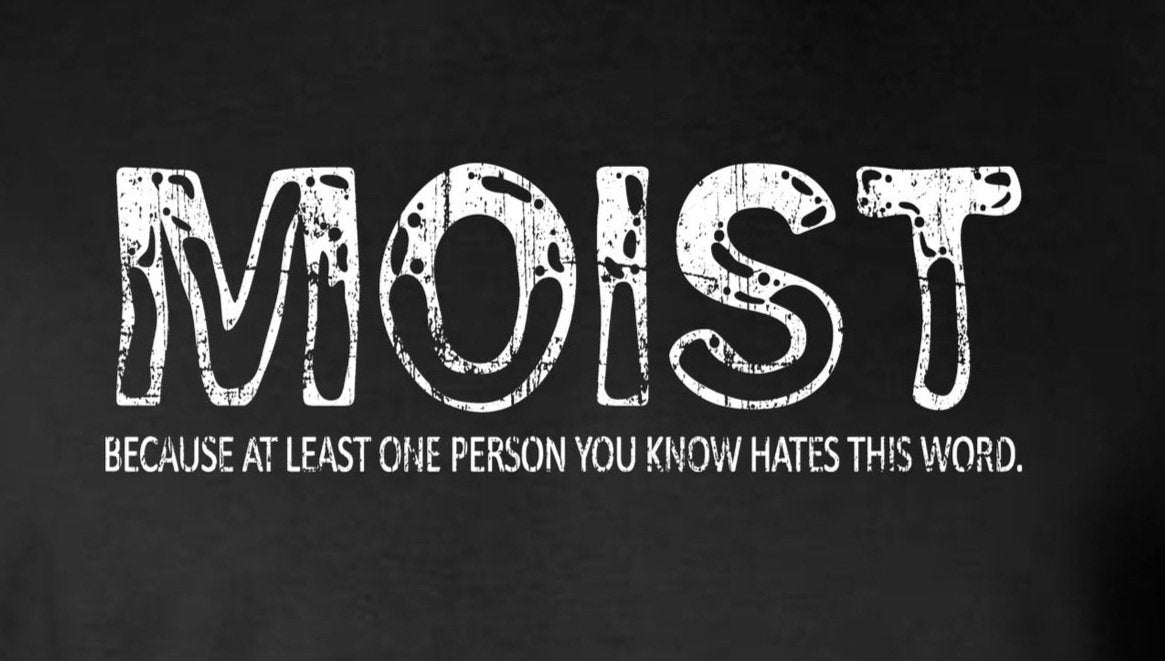 Moist Because At Least One Person HATES This Word Funny T-Shirt