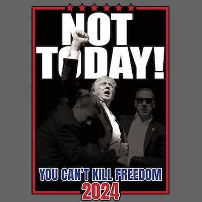 Not Today! Can't Kill Freedom Hoodie / Sweatshirt 2024 MAGA USA