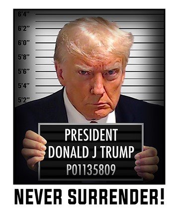 Never Surrender Mugshot Trump For President T-Shirt 2024 MAGA USA