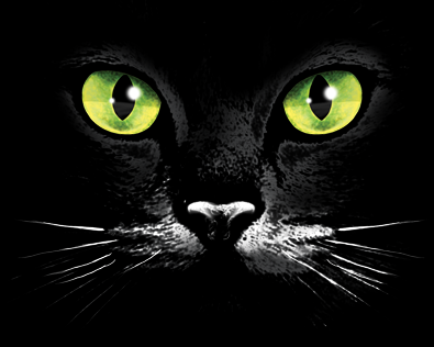 Black Cat Green Eyes Hooded Sweatshirt