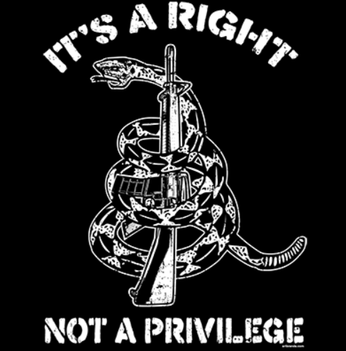 It's a Right Not a Privilege 2nd Amendment Long Sleeve T-Shirt Don't Tread on Me