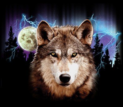Wolf Lightning Moon Long Sleeve T-Shirt Native American Indian
