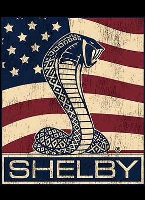 Carroll Shelby Cobra US Flag Logo 2-Sided Long Sleeve T-Shirt