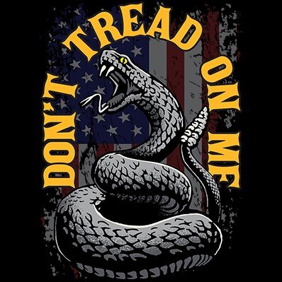 Don't Tread On Me US Flag Rattlesnake 2-Sided T-Shirt