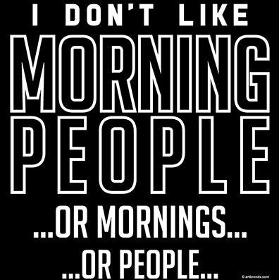 I Don't Like Morning People Funny T-Shirt