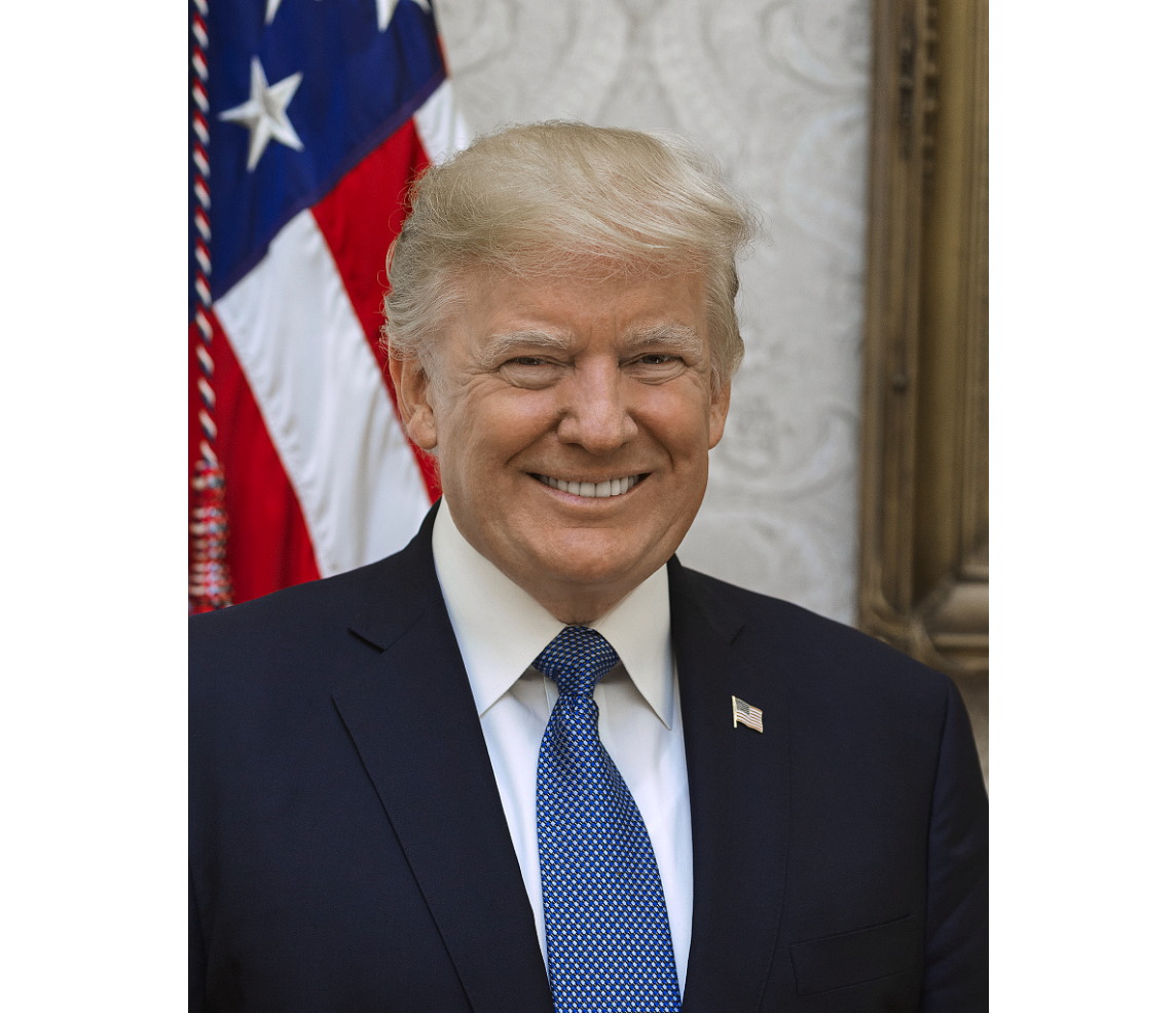Donald Trump 45th President of the United States Archival Quality Photo Print