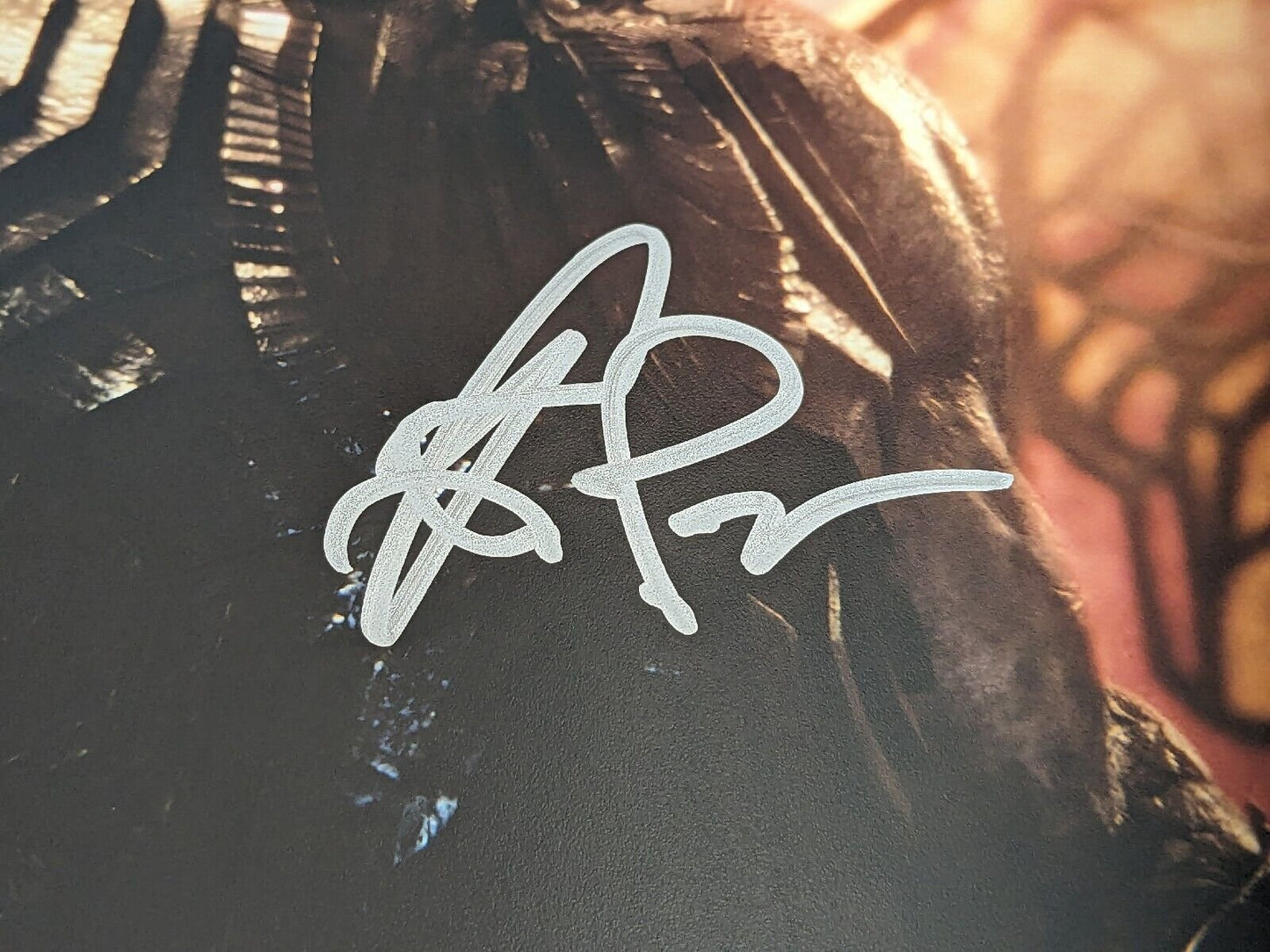 Ray Porter Darkseid Justice League Signed 8x10 Photo Beckett COA DC Comics