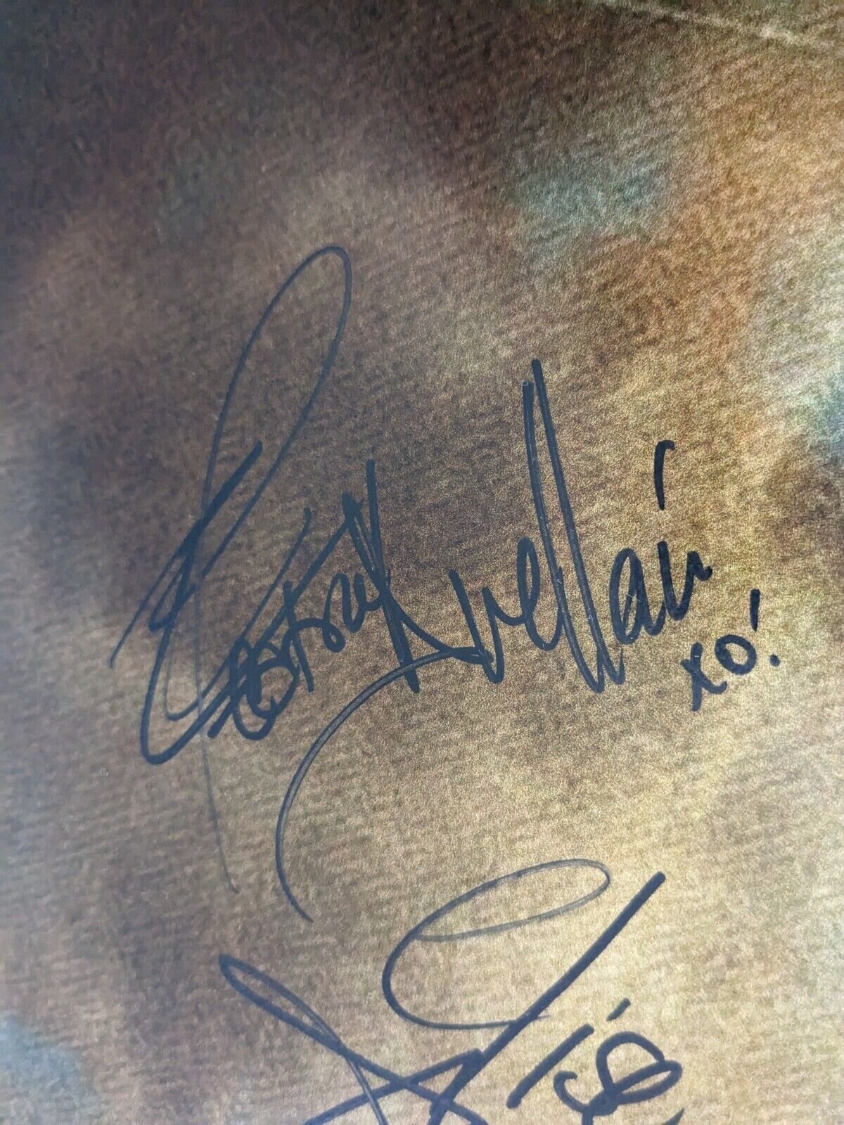 Danny Trejo Signed 27x40 Machete Poster Electra & Elise Avellan Autographed