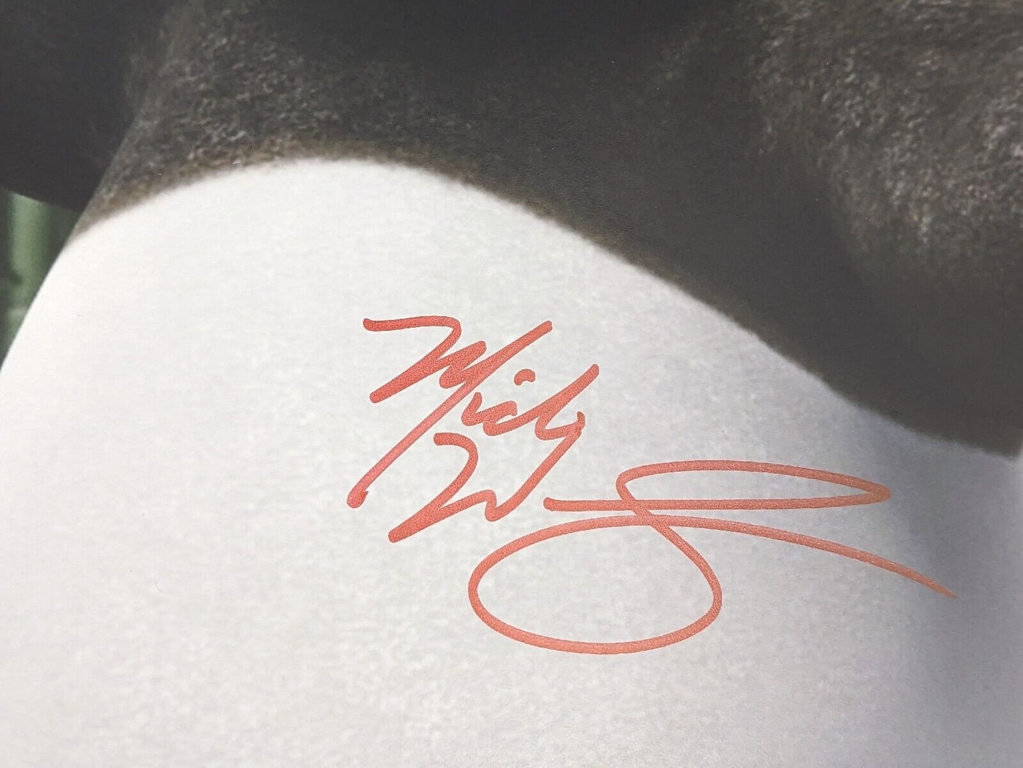 Mick Wingert Kung Fu Panda Signed 8x10 Photo Beckett COA