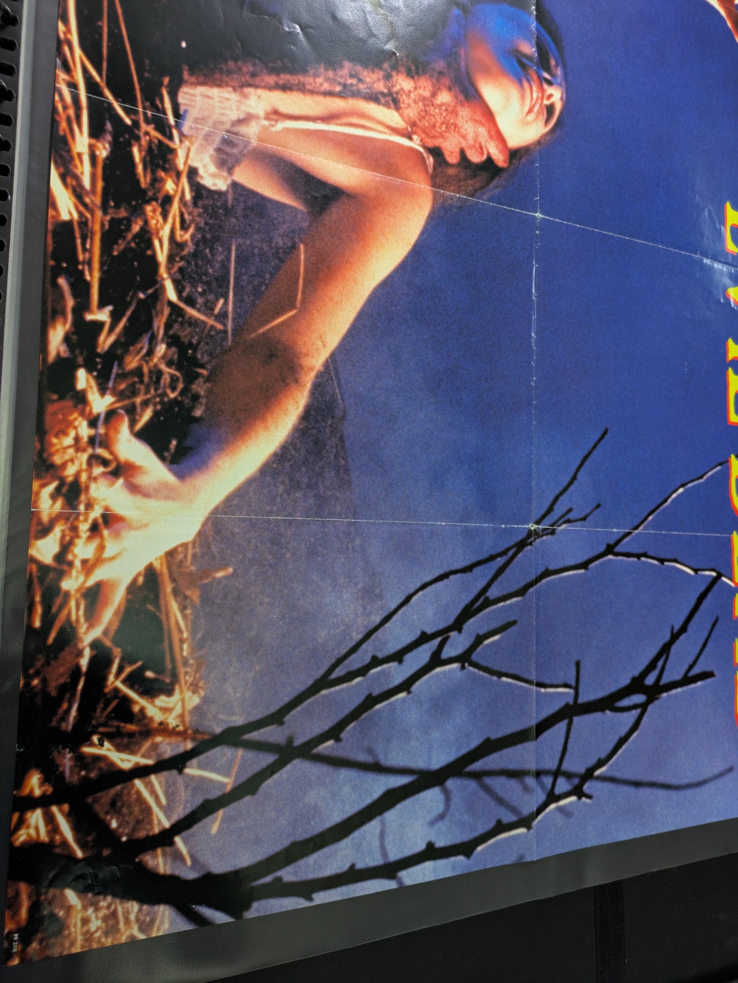 Evil Dead 24x34 Vintage Import Movie Poster Folded / Used - Pyramid England