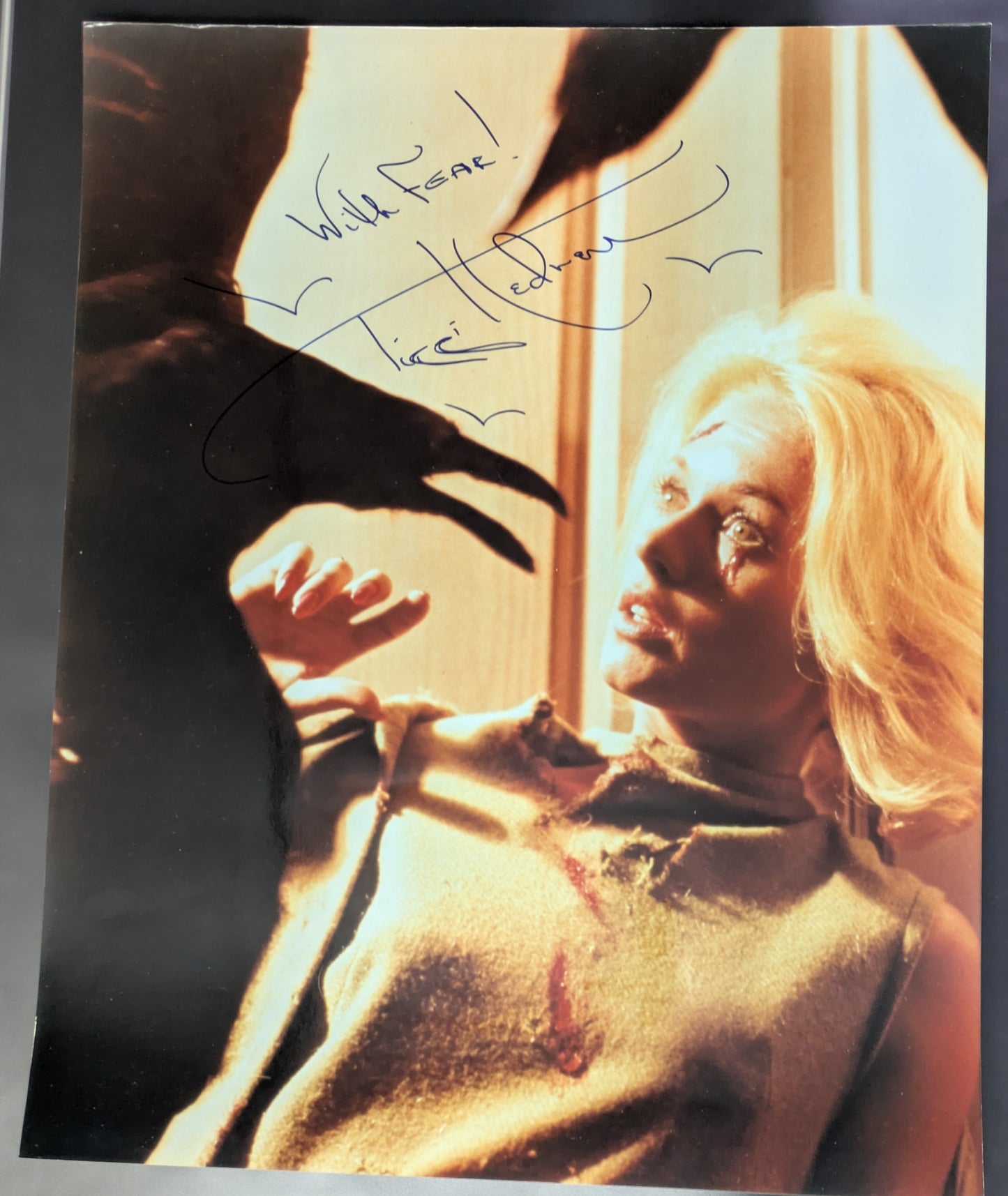 Tippi Hedren Signed 16x20 Alfred Hitchcock The Birds Horror Movie Autograph COA